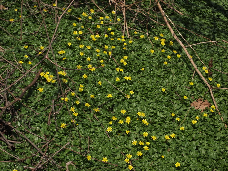 d0090322_17373955.jpg