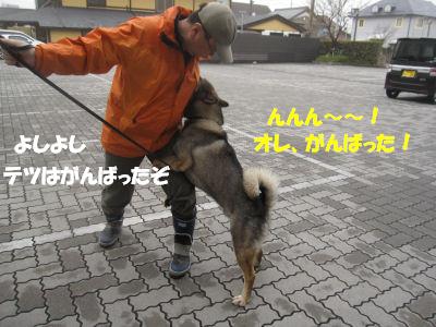 f0143123_20121593.jpg