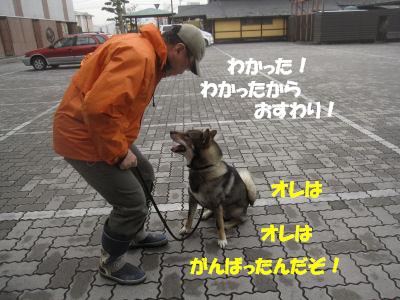 f0143123_20125676.jpg