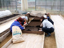 関東から4人の女性がワークステイに越前市にきました(その3)_e0061225_16195718.jpg