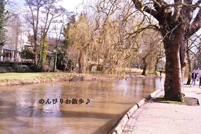 グリンピースとツナと卵の春の豆腐和え♪_d0104926_655255.jpg
