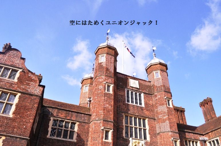 グリンピースとツナと卵の春の豆腐和え♪_d0104926_6592690.jpg