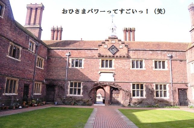 グリンピースとツナと卵の春の豆腐和え♪_d0104926_70344.jpg