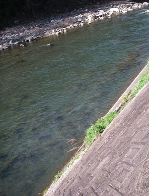 a0116027_15461579.jpg