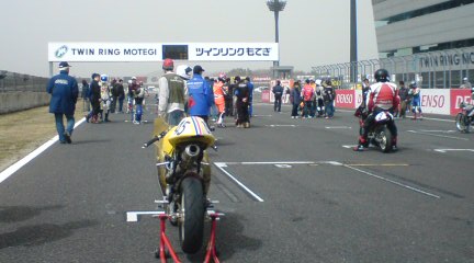 草レース_e0164638_8481128.jpg