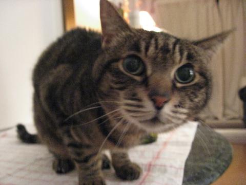 e0113040_21542020.jpg