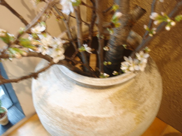 田宮亜紀陶展 ー 2_b0132442_148170.jpg