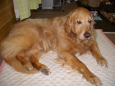 e0023643_2304314.jpg