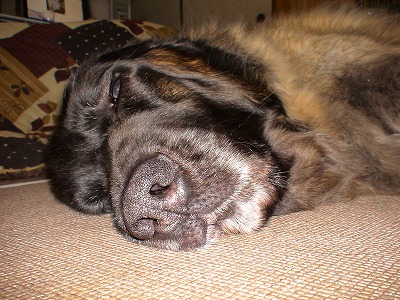 e0023643_2313340.jpg