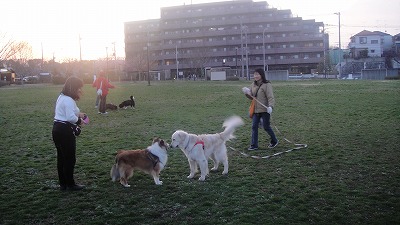 ママ、かわりに行ってきて!_e0195743_202865.jpg