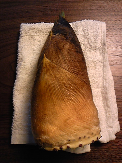 e0004846_1292074.jpg