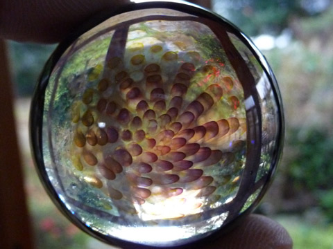 c0221349_1753865.jpg