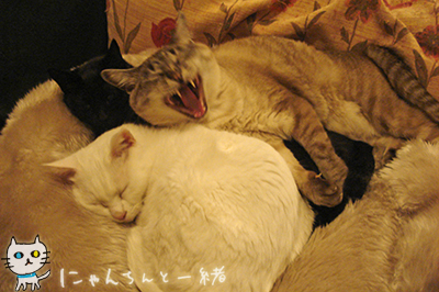みんなお疲れ_e0031853_16444622.jpg