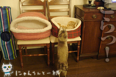言い訳_e0031853_2181317.jpg