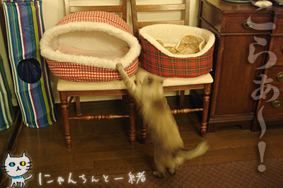 言い訳_e0031853_2183873.jpg