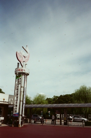 f0170055_1463089.jpg