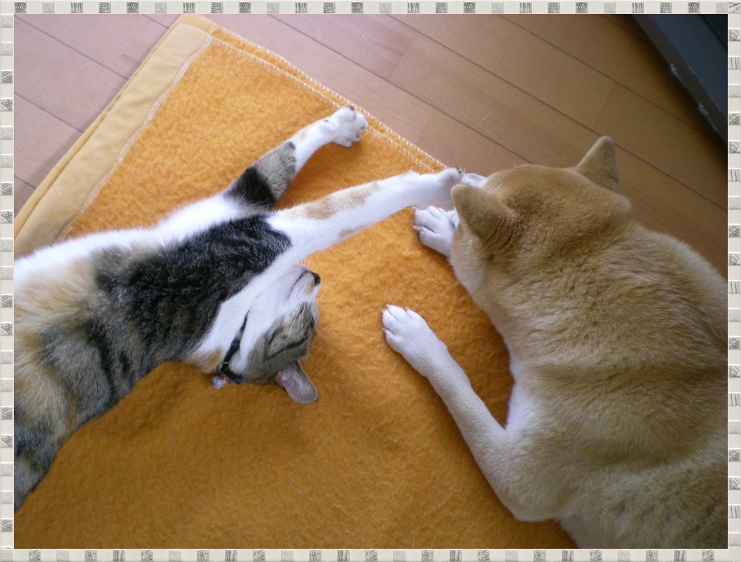 2010年3月24日(水)待つ女!_f0060461_11242154.jpg