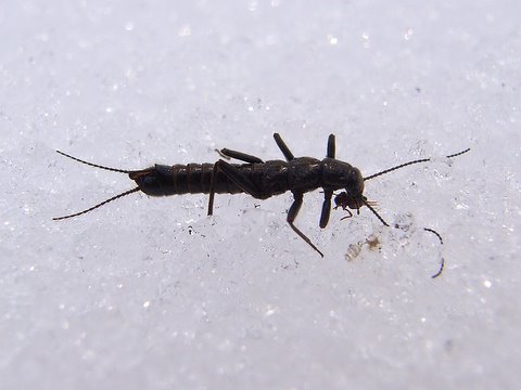 b0130166_22493962.jpg