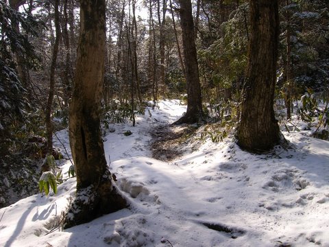 b0130166_22493981.jpg