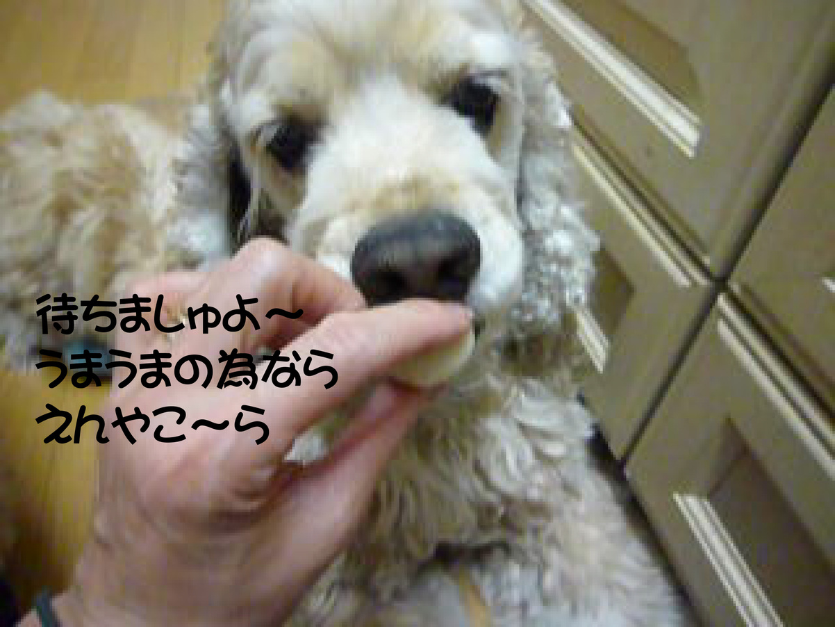 f0218182_9261555.jpg