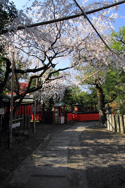 平野神社_e0051888_781217.jpg