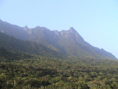 c0171889_14423188.jpg