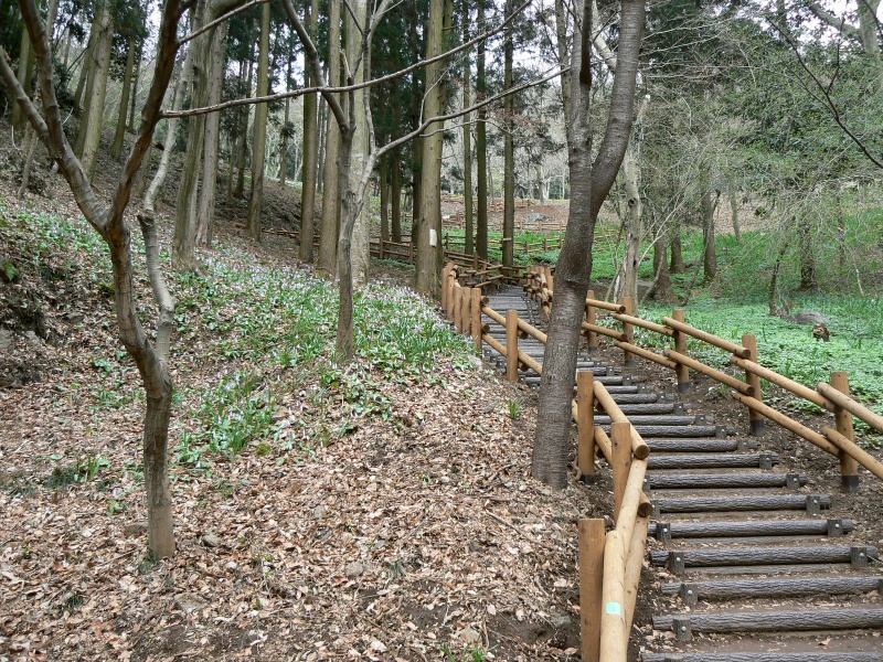 a0011690_1123582.jpg