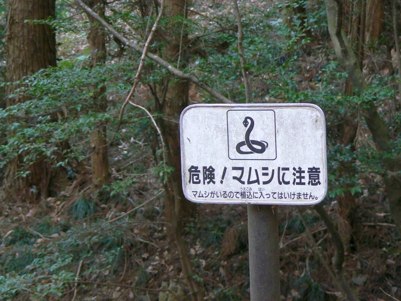 a0011690_11394733.jpg