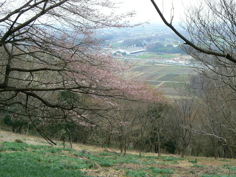 a0011690_1142557.jpg