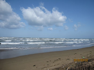 b0119190_10552211.jpg