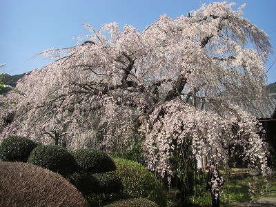 c0125501_21452394.jpg