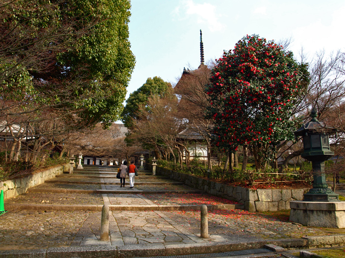 京都春巡り③～真如堂～_c0177502_0225119.jpg