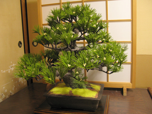 工芸和菓子の世界 鉄の仕事屋 モノ創り日記 工芸和菓子の世界 鉄の仕事屋 モノ創り日記