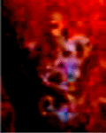 e0103408_14201387.gif