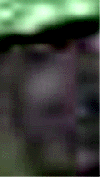 e0103408_1421764.gif