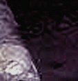 e0103408_14255780.gif