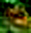 e0103408_14271616.gif