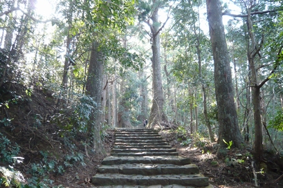 和歌山の旅＊那智勝浦4 熊野古道_f0221708_1654435.jpg