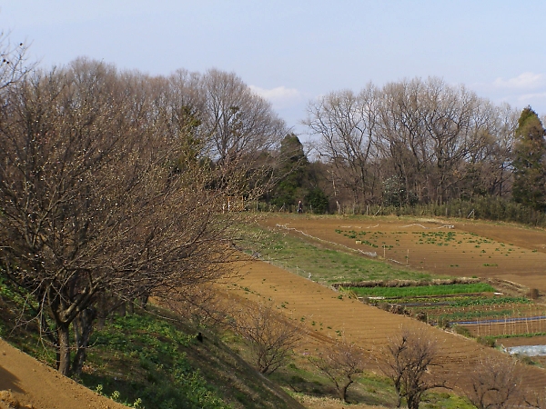 町田の空は晴れだった_b0067012_1133494.jpg