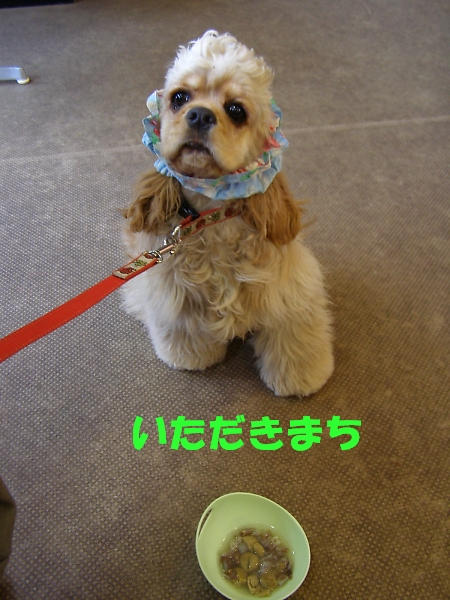 町田の空は晴れだった_b0067012_11352124.jpg