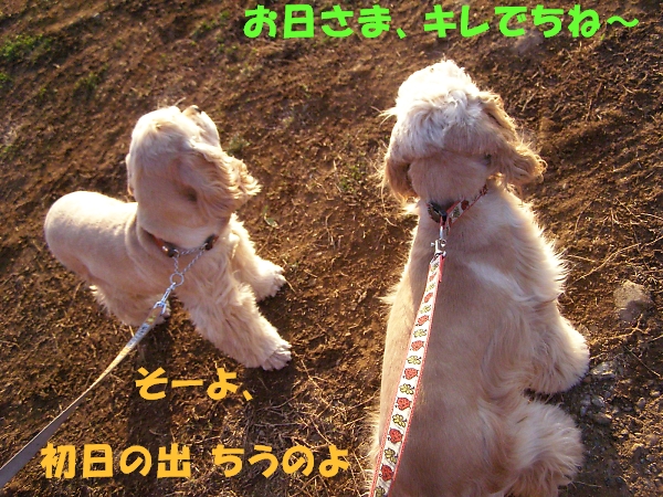町田の空は晴れだった_b0067012_937493.jpg