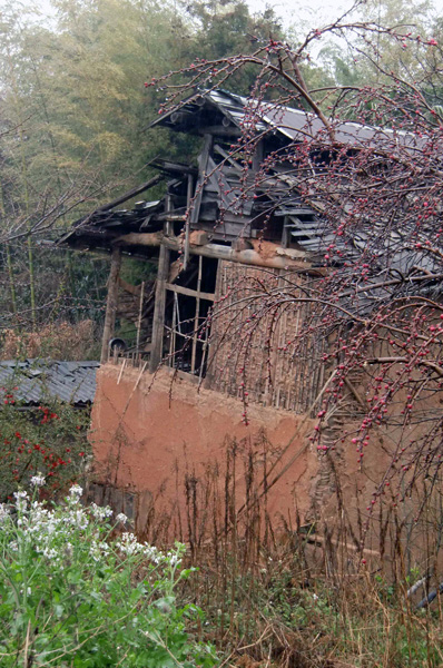 雨の赤崎_b0130112_1719371.jpg