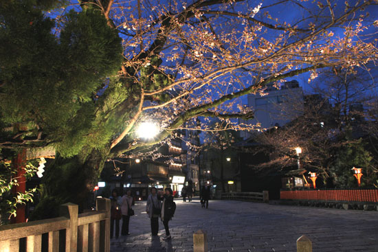祇園の夜桜_e0048413_22415224.jpg
