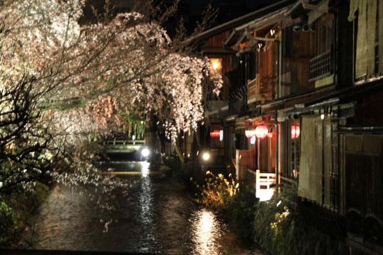 祇園の夜桜_e0048413_22422019.jpg