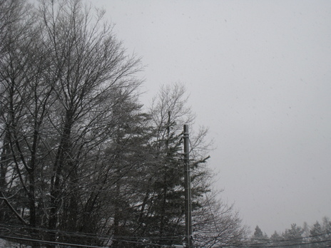 c0165914_22395021.jpg