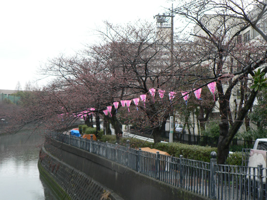 e0189014_17175414.jpg