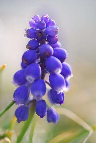 c0115121_87490.jpg