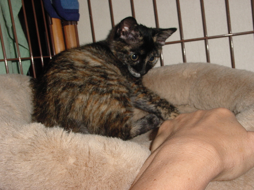 c0220025_112462.jpg