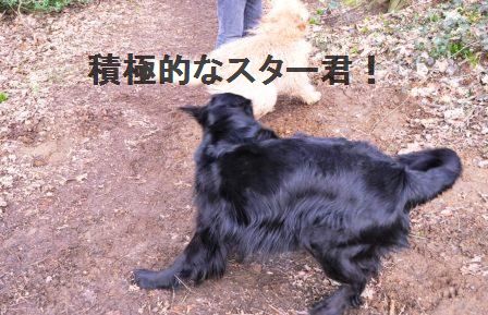 たっぷり野菜のまんまるオムレツ_d0104926_203934.jpg