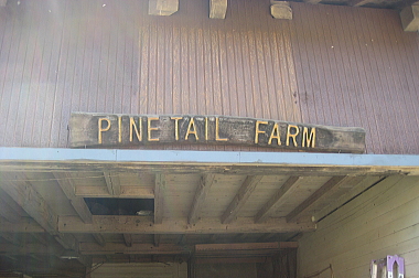 e0090926_2119475.jpg
